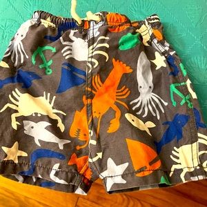 Baby Boden bathing suit 18-24 months